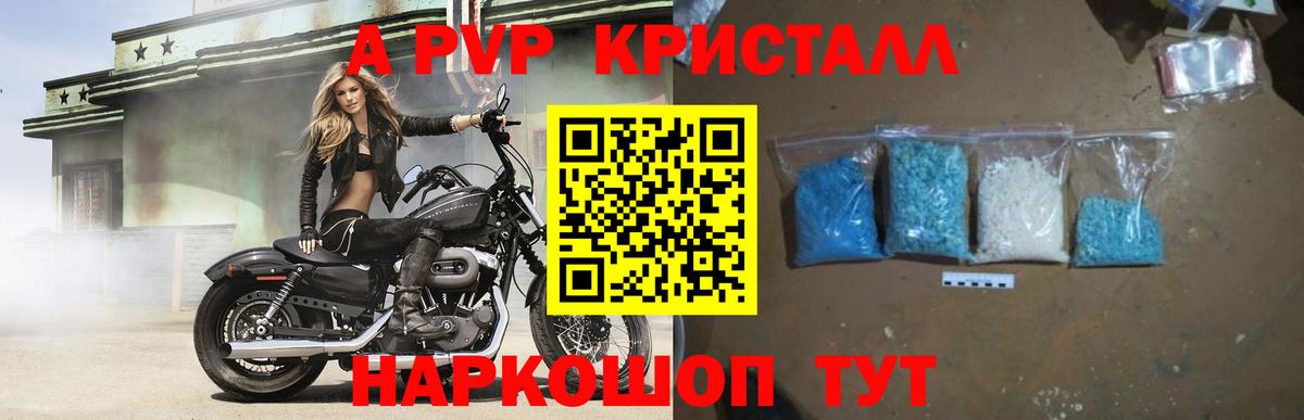 Alfa_PVP СК Мыски